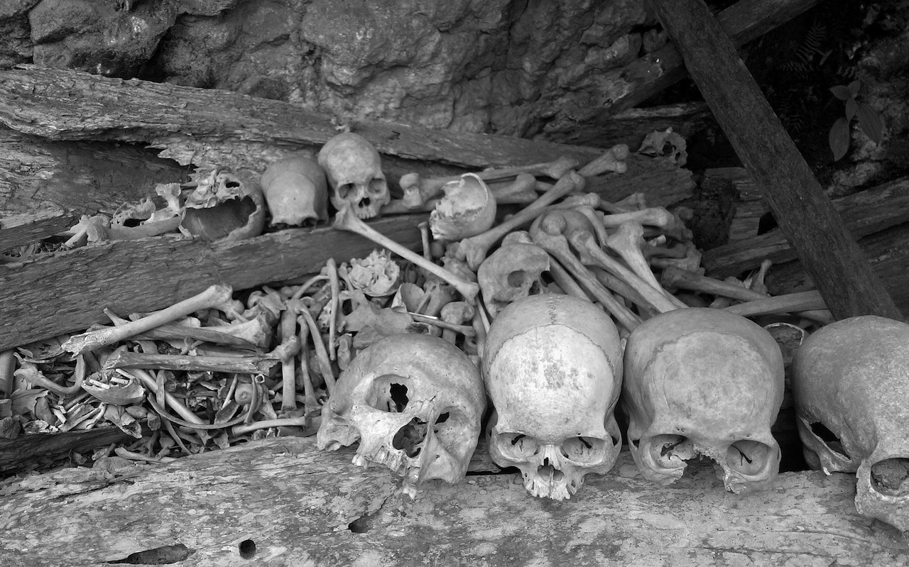 Grayscale of Skulls and Bones